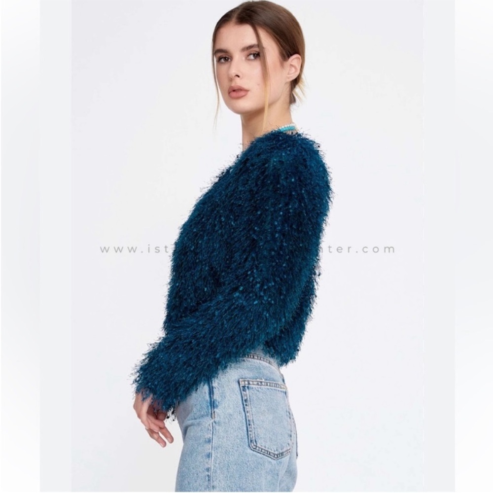 Zara Shaggy Sweater